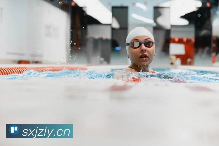 九游网页版官网APP 封面图